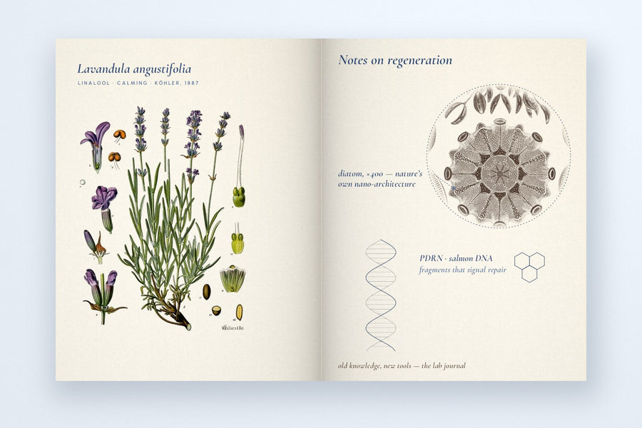 Notes from the lab, <em>for curious skin.</em>