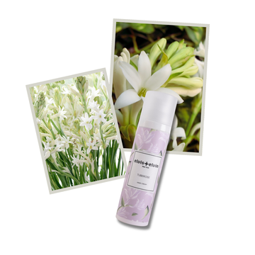 Tuberose Fragrance Hand Cream