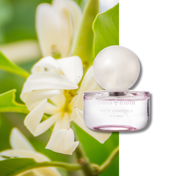 White Champaca Eau de Parfum
