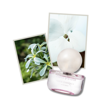 White Champaca Eau de Parfum
