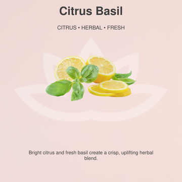 Organic Whipped Body Butter
