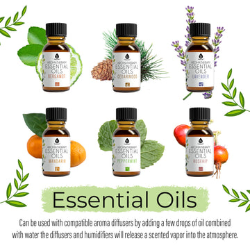 14-Pack Aromatherapy Essential Oil Gift Set