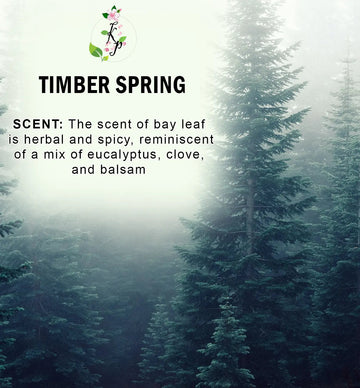 Timber Spring Natural Organic Body Lotion