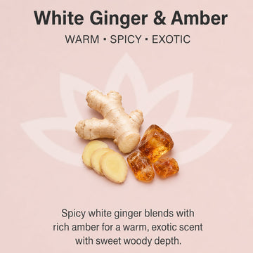 Organic Whipped Body Butter