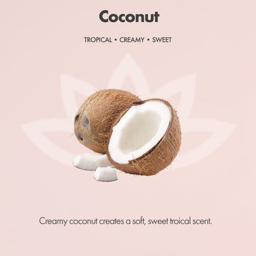 Organic Whipped Body Butter