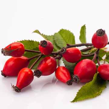 Organic Vitamin A Microcaps Serum