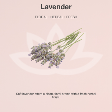Organic Whipped Body Butter